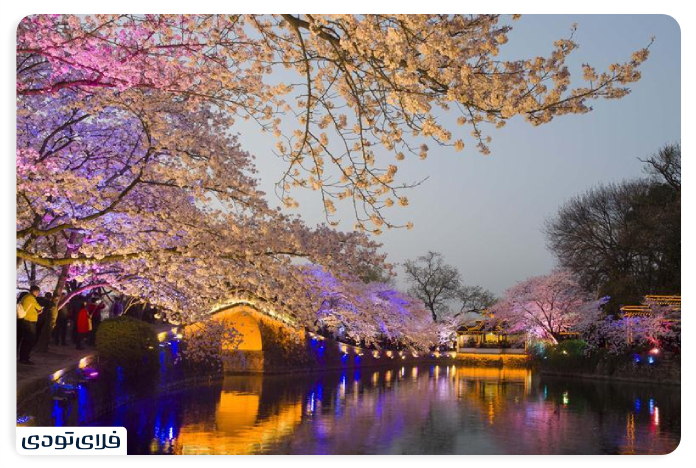 The best time to travel to China Fascinating seasons in the land of dragons The blossoming of nature and importa eves in the spring season of China