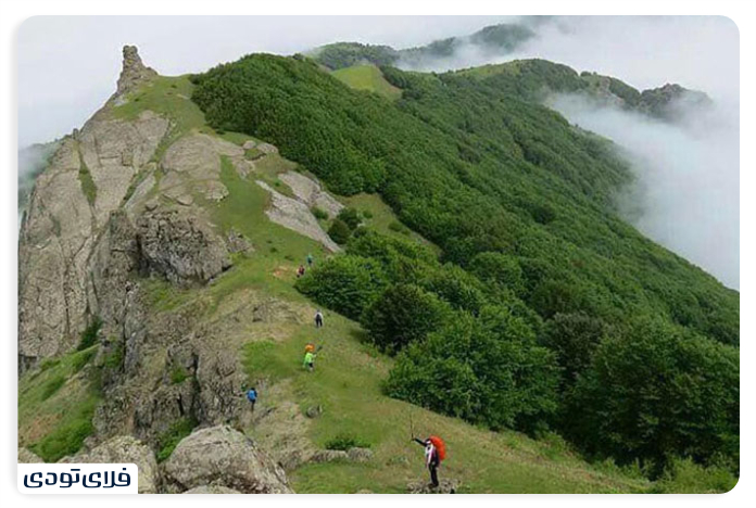 Diversity of vegetation and wildlife in Laton waterfall, Astara and Gilan province