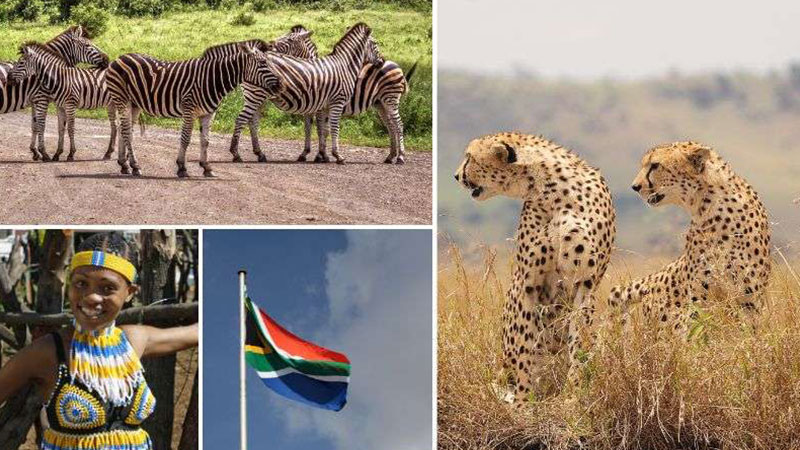 History of South Africa