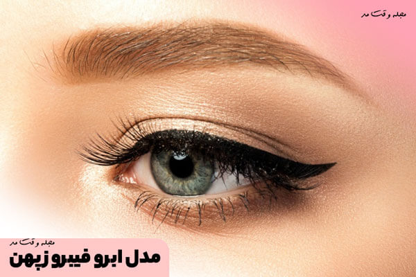 Broad fibrosis eyebrow model