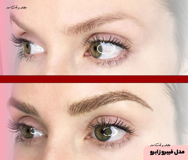 Fibrosis eyebrow model for elongated face