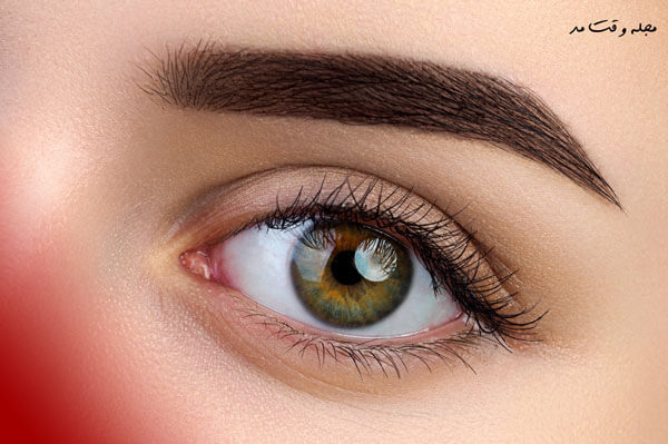 The most suitable model of eyebrow fibrosis for a round face