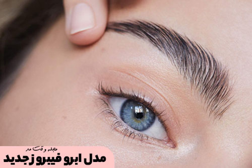 Natural eyebrow fibrosis model