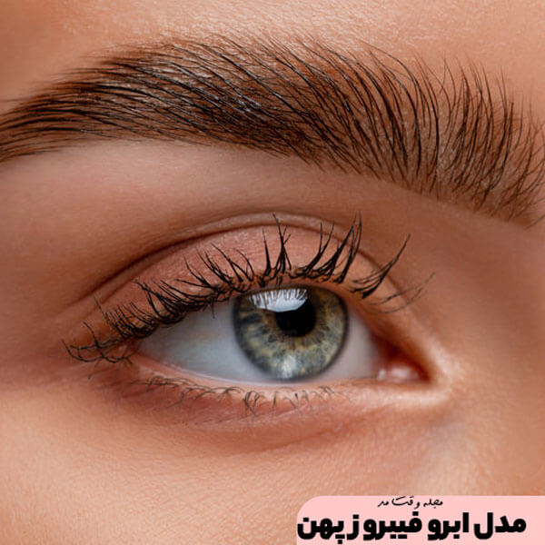 Broad fibrosis eyebrow model