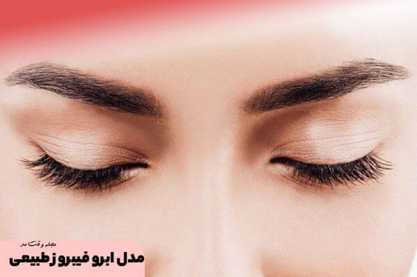 Natural eyebrow fibrosis model