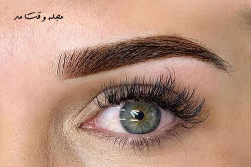 New eyebrow fibrosis model