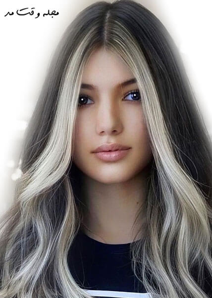 Face frame model