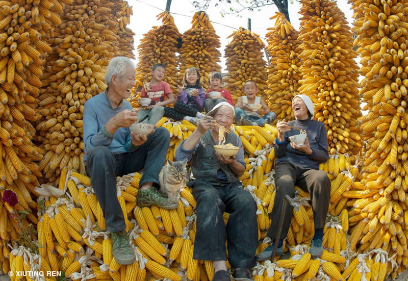 Asian farmers among corn