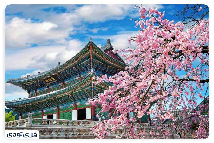 Travel to Seoul in spring
