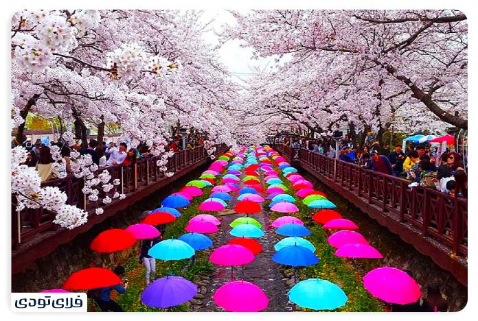 Yongdengpo Yueido Spring Flower Festival