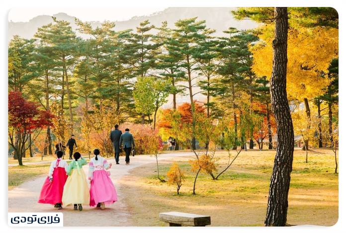 Seoul Autumn Festivals