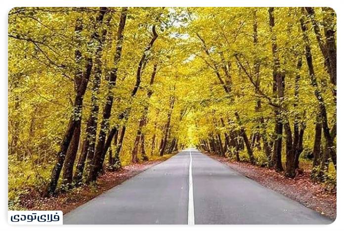 Where is Astana Ashrafieh and what are its attractions? Kiashahr Forest Park