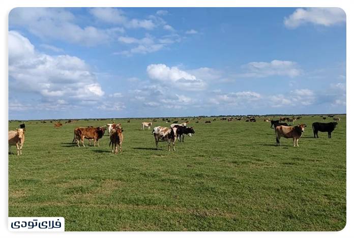 Where is Astana Ashrafieh and what are its attractions? Bojag National Park