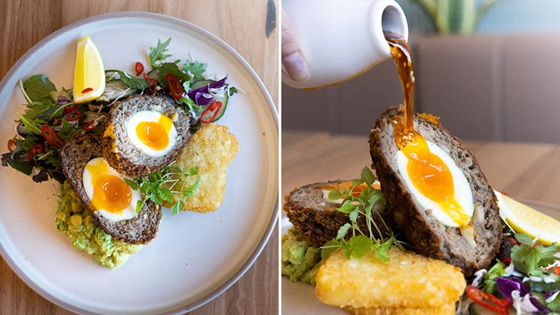 Picnic cafe is one of the most special restauras in Spain