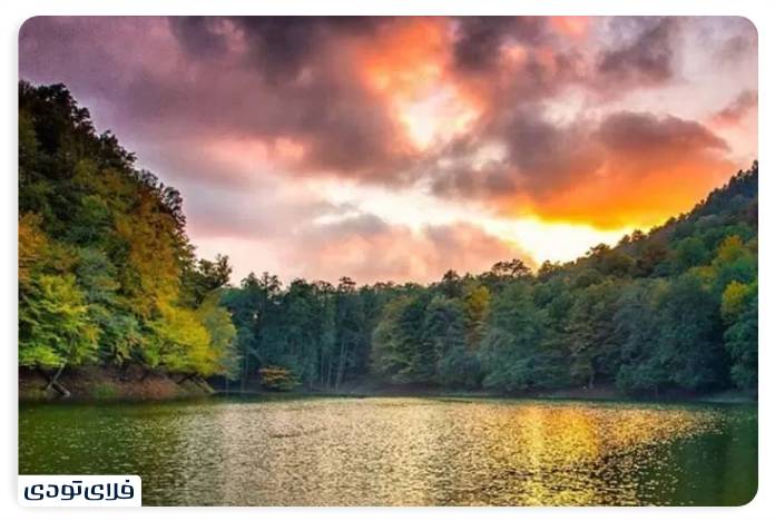 An unforgettable experience next to Ellandan Lake Biodiversity of Lake Alandan