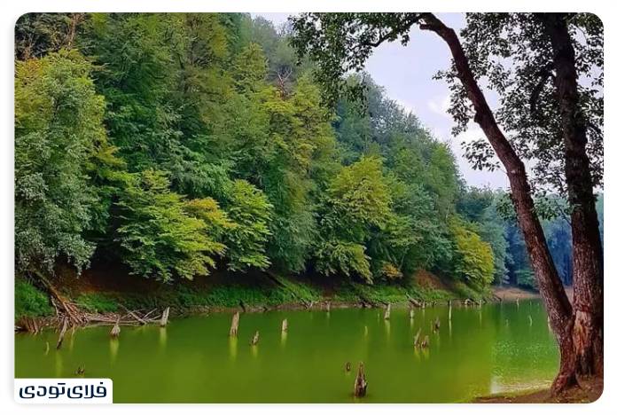 An unforgettable experience next to Ellandan Lake Views of Ellandan Lake