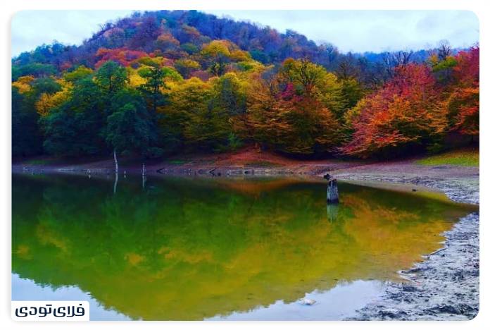 An unforgettable experience next to Ellandan Lake Green forest and lots of stairs