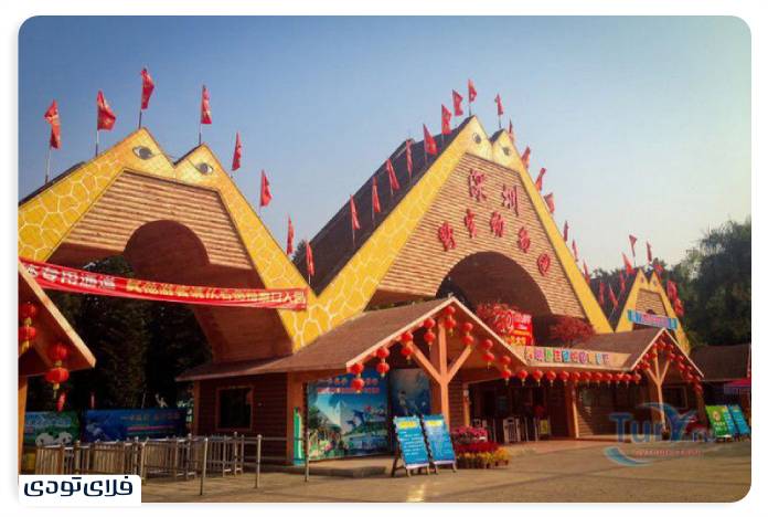 Know the best places to see in Shenzhen, China! Safari Park, Shenzhen, China
