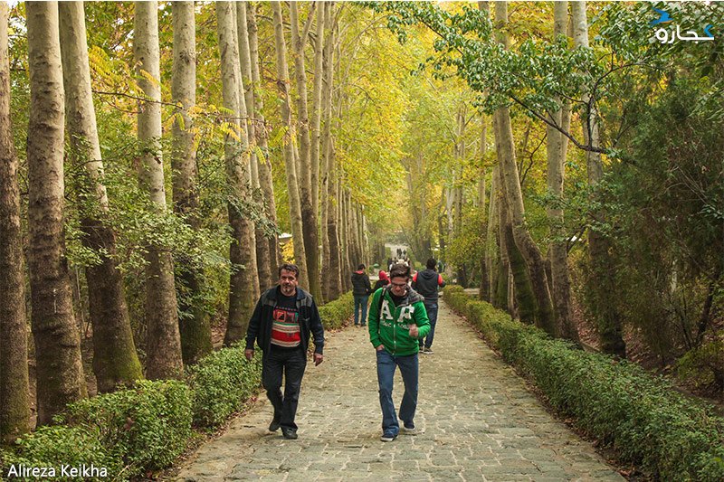 Walking in Jamshidiye Park, Tehran