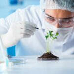 Report of 5 fields of study in demand for studying in France