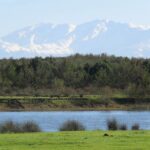 A report of a green and blue experience at Dense Gilaria Hotel