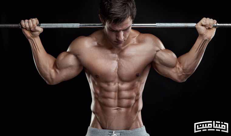 Kat bodybuilding program