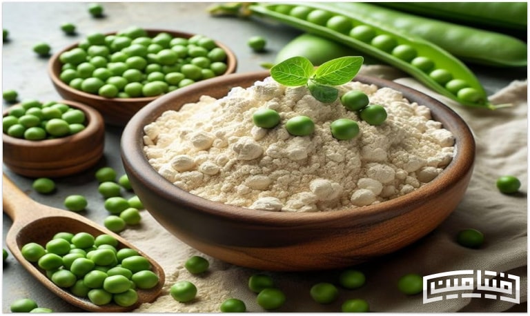 Vegetable protein powder