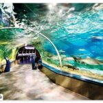 Istanbul Aquarium