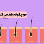 How does hair grow?