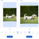 Gemina's new features for editing images