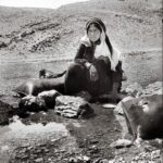Nomadic women in ancient Iran