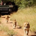 South Africa tour