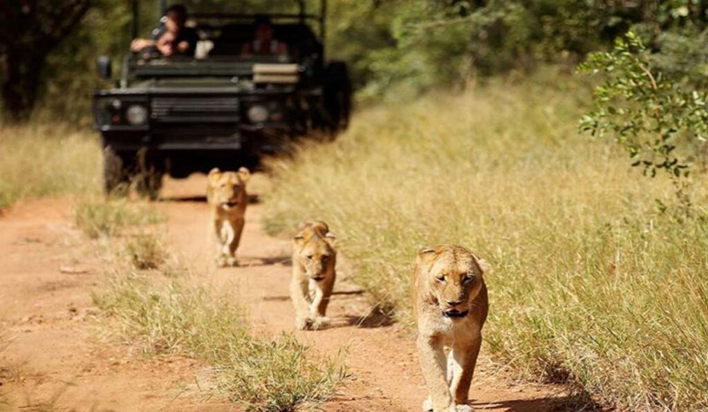 South Africa tour