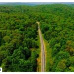 Where is Gisum forest?