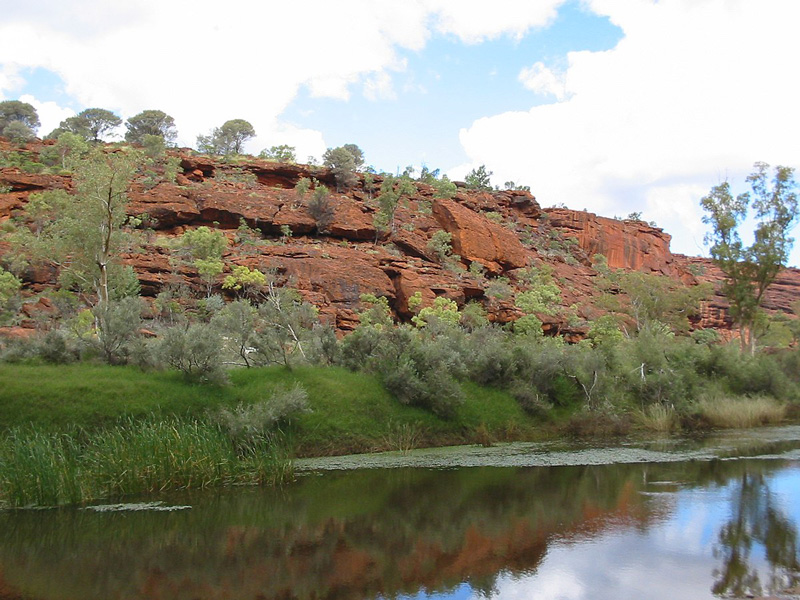 Fink River. Photographer: Cgoodwin