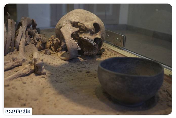 Museum of Archeology and Ahropology