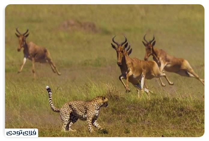 Khartoran National Park