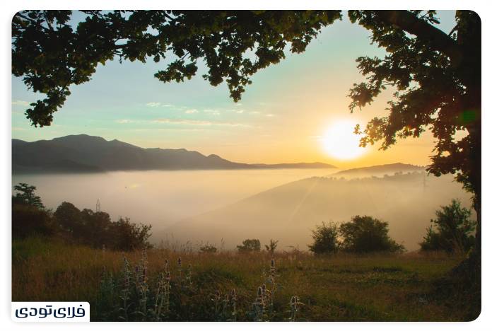 Abar forest is one of the sightseeing places of Shahrood