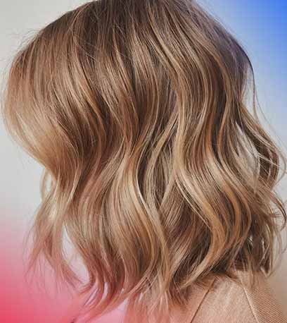 Biscuit hair color model without bleaching