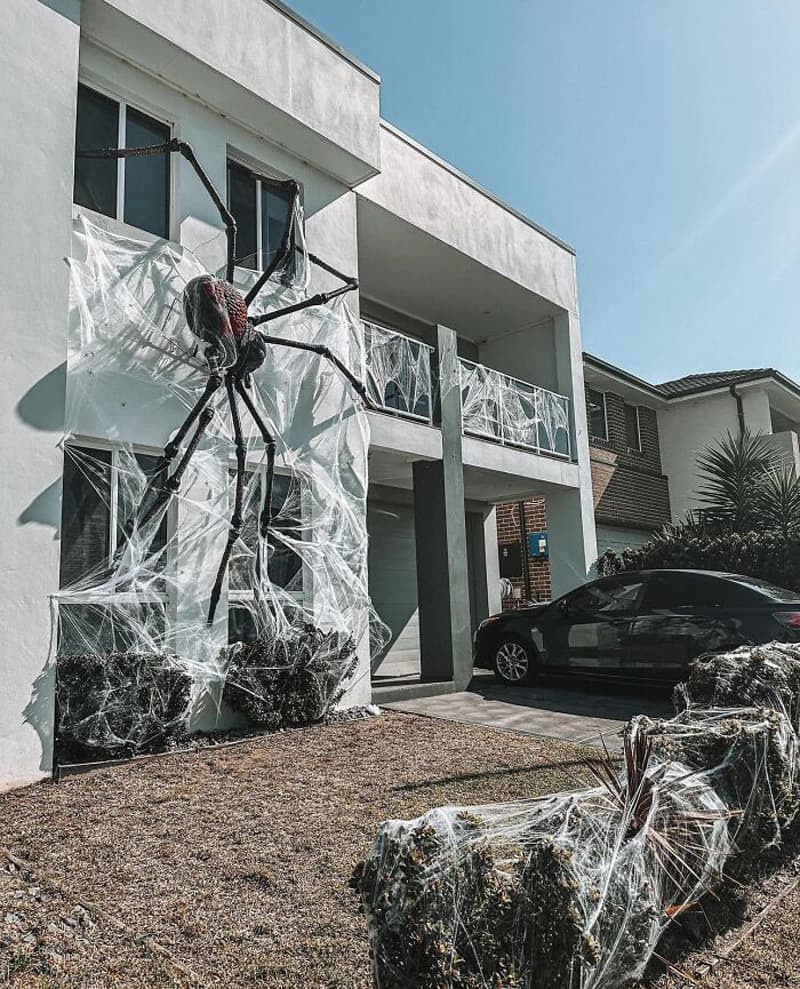 Halloween gia spider on the wall of the house
