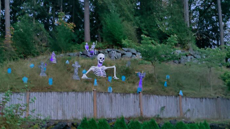 Halloween skeleton in the plain