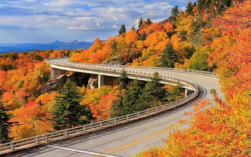 Reduce travel costs