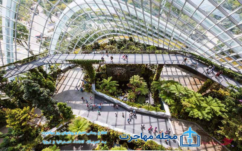 Image of Singapore Cloud Forest - Singapore