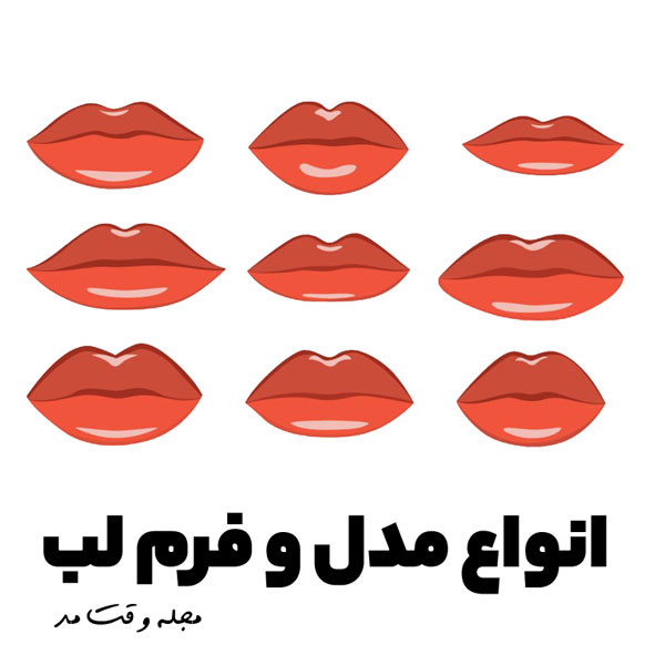 Types of lip shapes and models