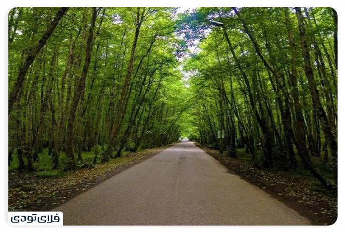 Islam road to Khalkhal Driving on the most beautiful road in Iran! Dense forests of Talash