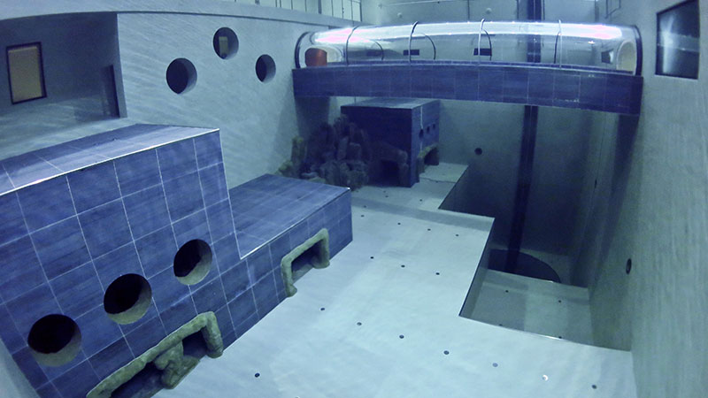 Y-40 The Deep Joy pool (Moegarto Terme, Padua, Italy) is one of the most beautiful pools in the world