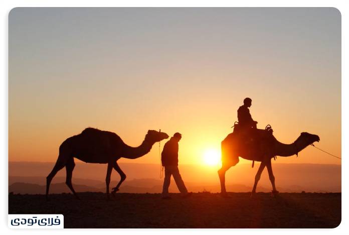 Egyptian desert A differe experience than nature tourism Camel riding in the Egyptian desert