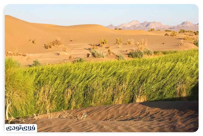 Egyptian desert A differe experience than nature tourism Nizar is another tourist attraction in the Egyptian desert