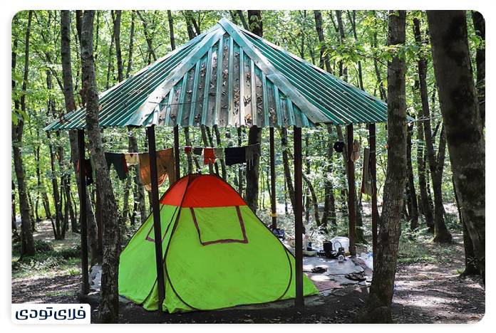 Camping in the heart of Saravan forest