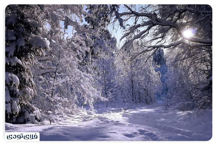 The best season to travel to Saravan Forest Park 